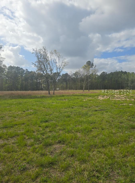 4 Roseland Road, Unit PARCEL D Ridgeland, SC 29936 - Photo 3 of 4