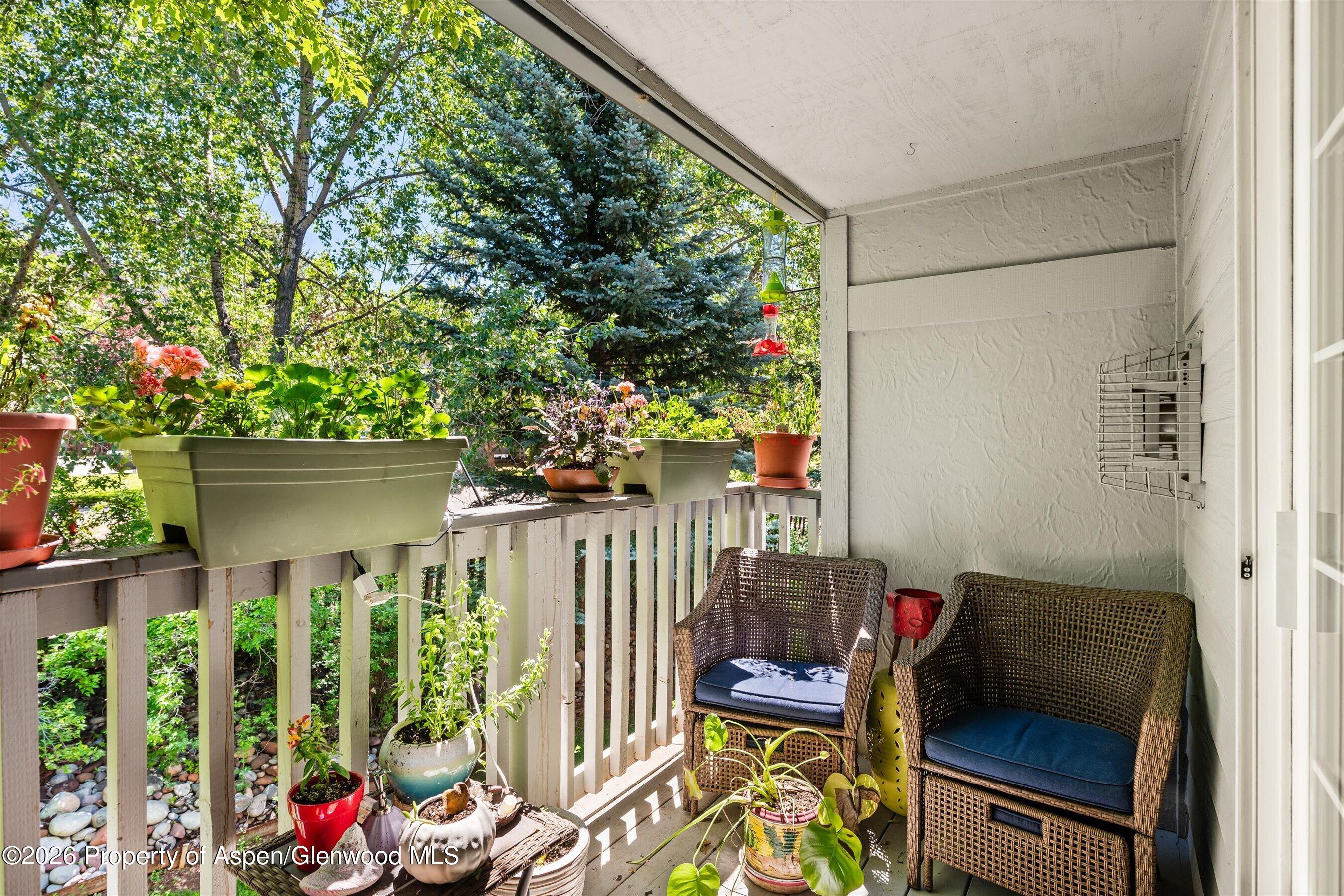5203 Elk Lane Basalt, CO 81621 - Photo 17 of 26 24-5203ElkLn_26061724