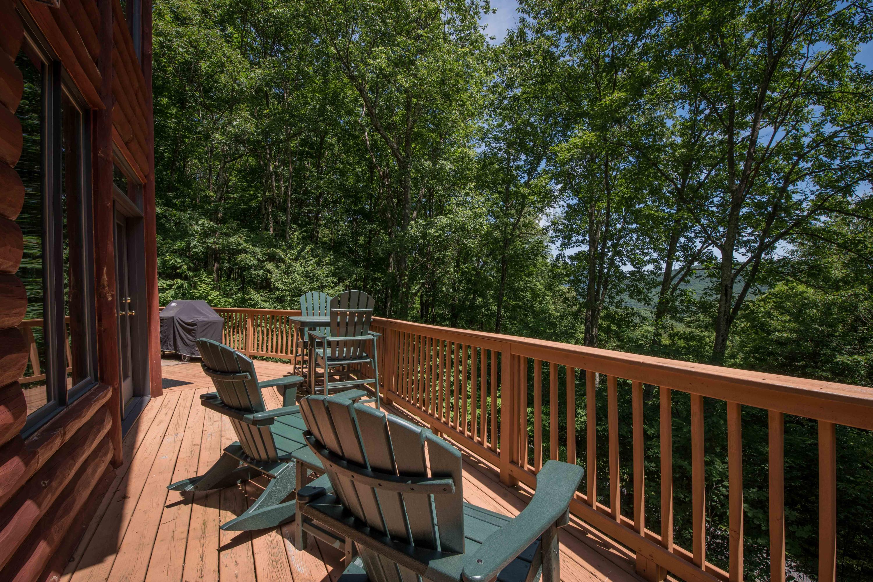 7 Hawthorne Ridge Road Slatyfork, WV 26291 - Photo 14 of 31 Gallery Image 14