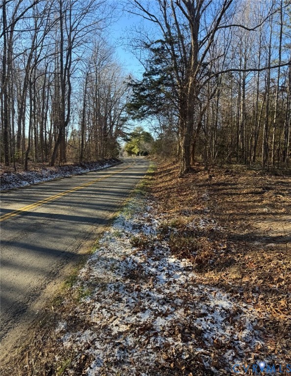 16374 St Peters Church Road Montpelier, VA 23192 - Photo 5 of 7 View of asphalt road