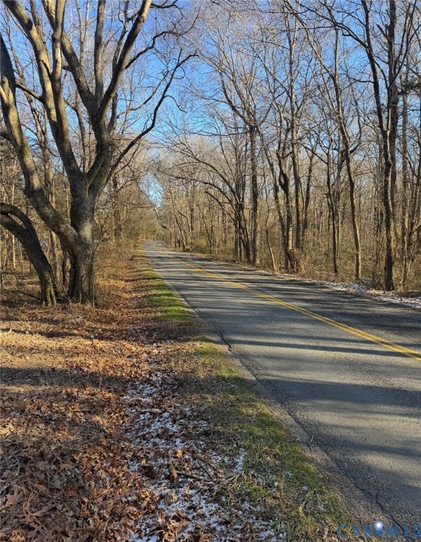 16374 St Peters Church Road Montpelier, VA 23192 - Photo 6 of 7 View of asphalt street