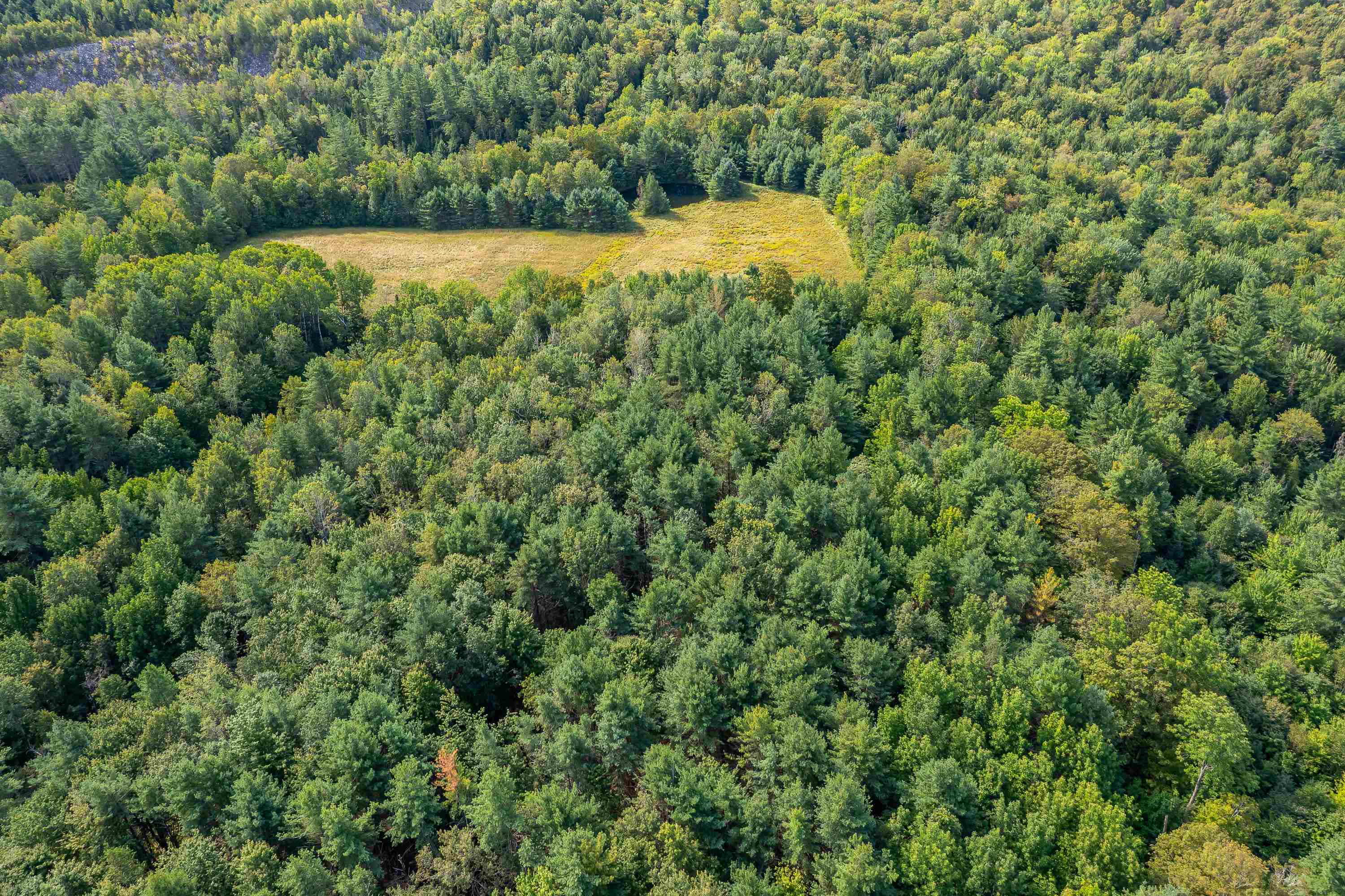 Lot #4 Meadow Road Ludlow, VT 05149 - Photo 10 of 12 Gallery Image 10