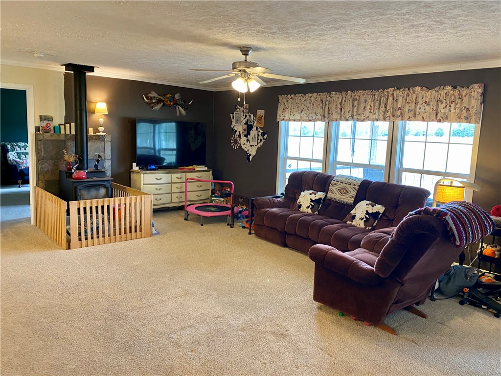 597 Sam Byrum Road Iva, SC 29655 - Photo 5 of 43 This inviting living room features a cozy wood-burning stove and ample natural light.