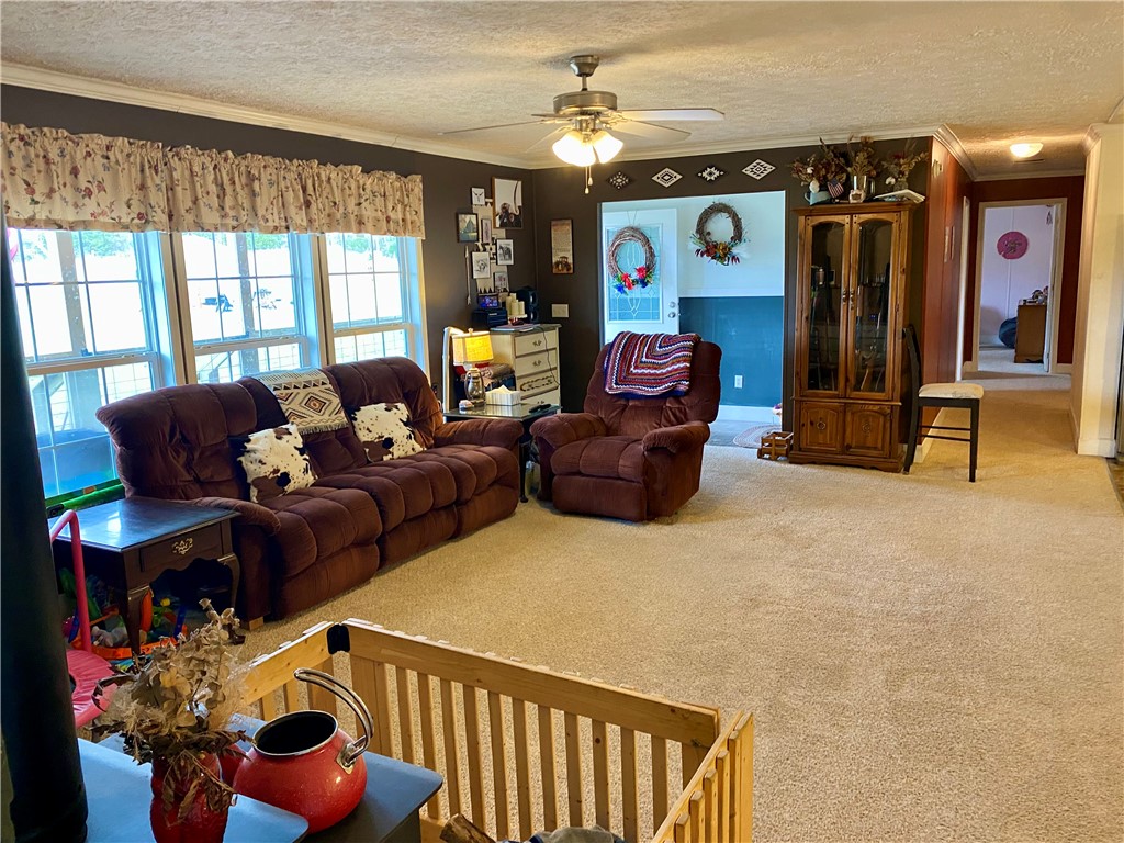 597 Sam Byrum Road Iva, SC 29655 - Photo 6 of 43 This inviting living room offers comfort and ample natural light, perfect for everyday living.