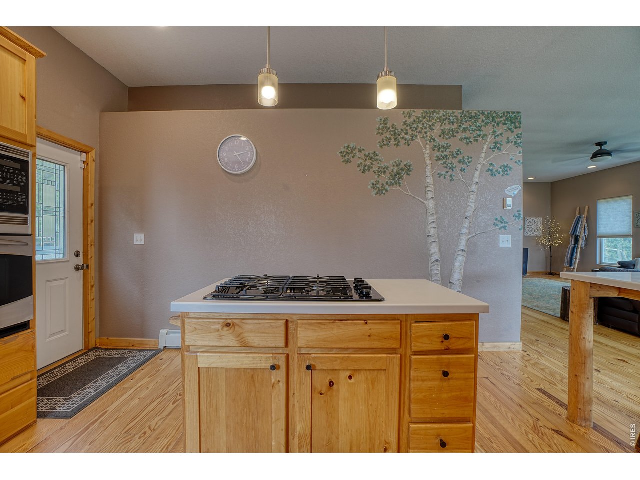 2353 Dory Hill Road Black Hawk, CO 80422 - Photo 6 of 50