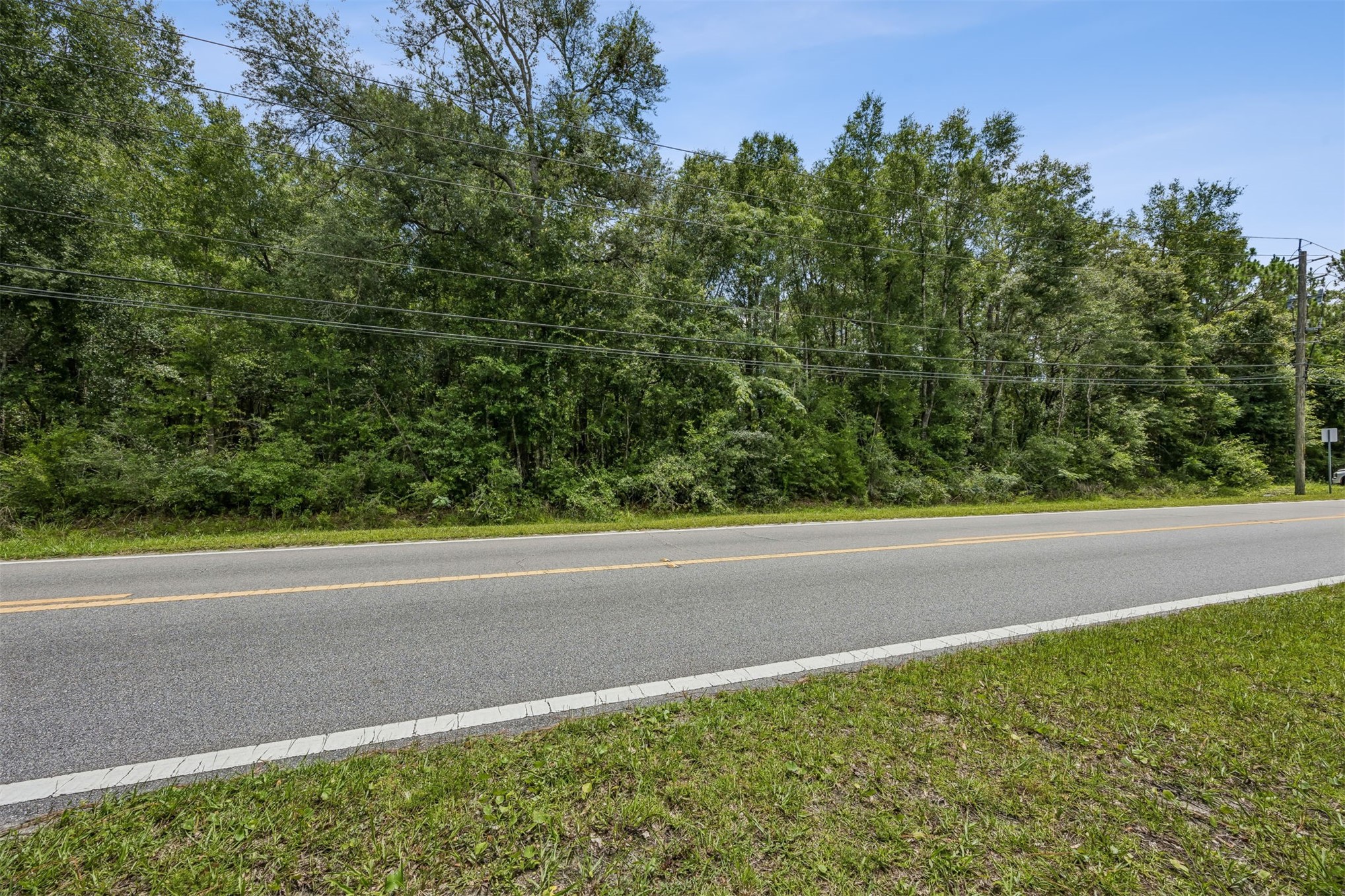 85414 North Harts Road Yulee, FL 32097 - Photo 10 of 10 a view of a yard with a street