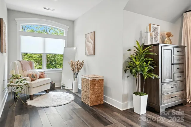 a living room with furniture and a potted plant