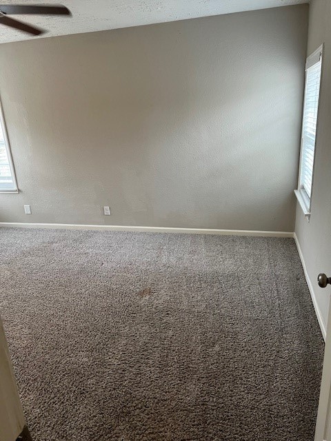 1008 Frances Drive Rosenberg, TX 77471 - Photo 21 of 37