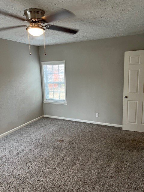 1008 Frances Drive Rosenberg, TX 77471 - Photo 23 of 37