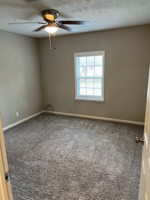 1008 Frances Drive Rosenberg, TX 77471 - Photo 29 of 37