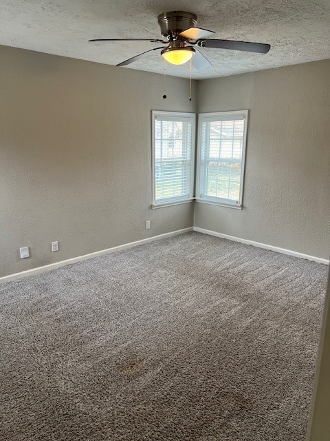 1008 Frances Drive Rosenberg, TX 77471 - Photo 30 of 37