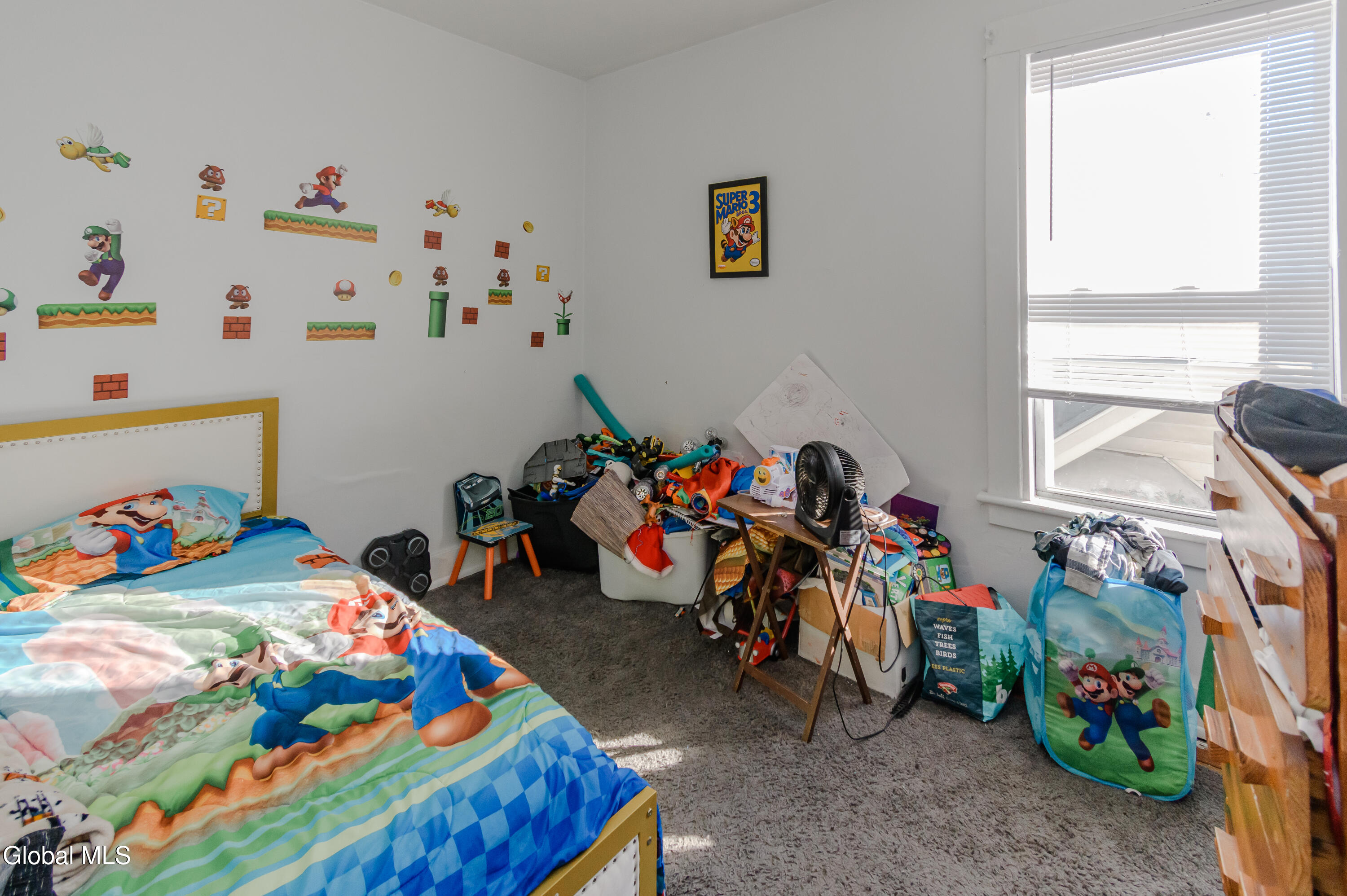 34 Hampton Street Albany, NY 12209 - Photo 20 of 24 DSC_2186