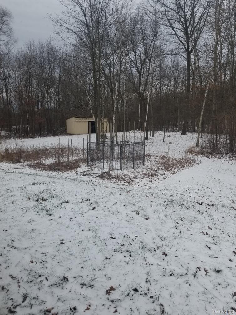 10651 Churchill Road Rives Junction, MI 49277 - Photo 10 of 10 churchill yard.jpeg