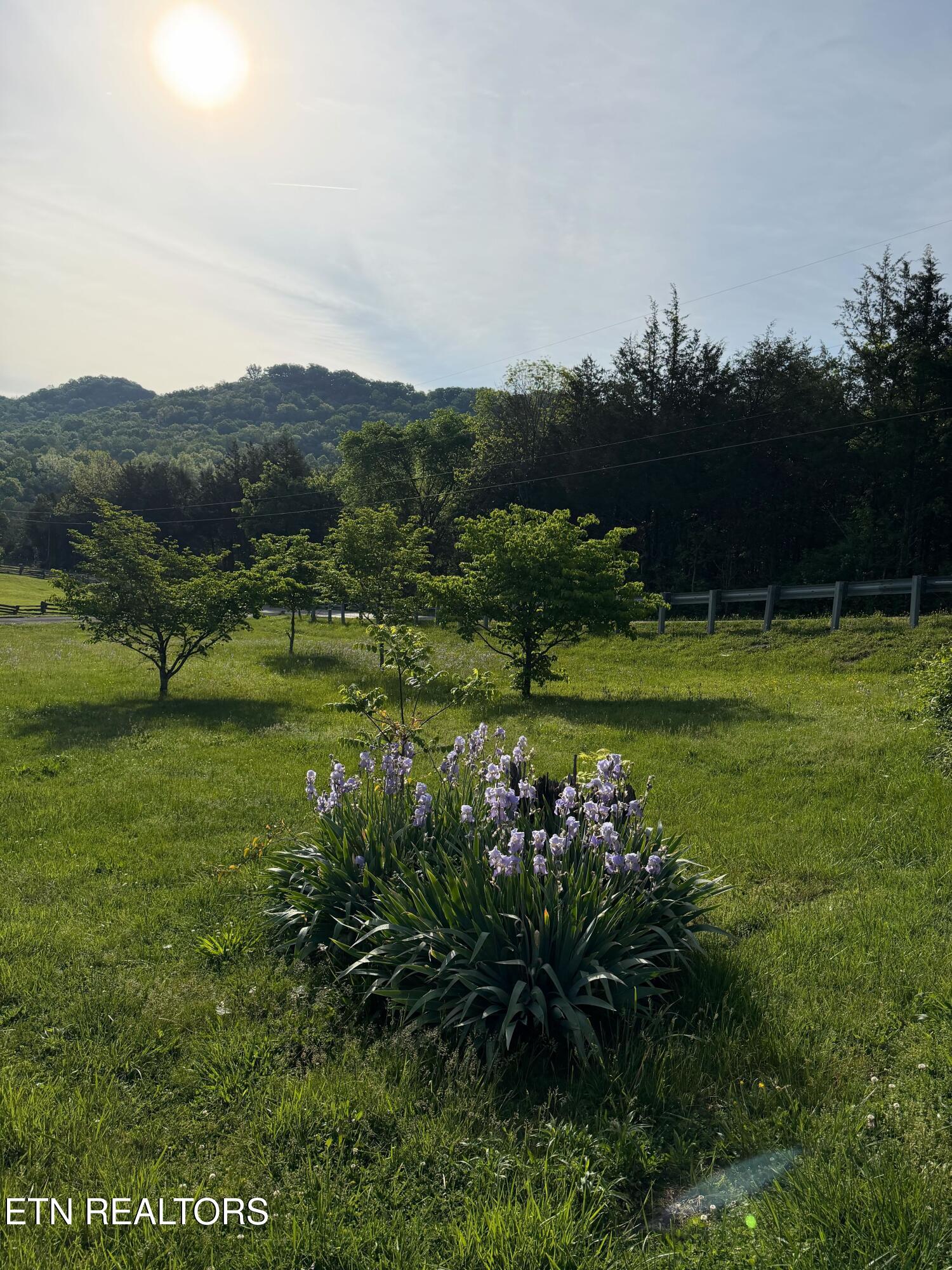 912 Raccoon Valley Road Maynardville, TN 37807 - Photo 5 of 17 IMG_1058