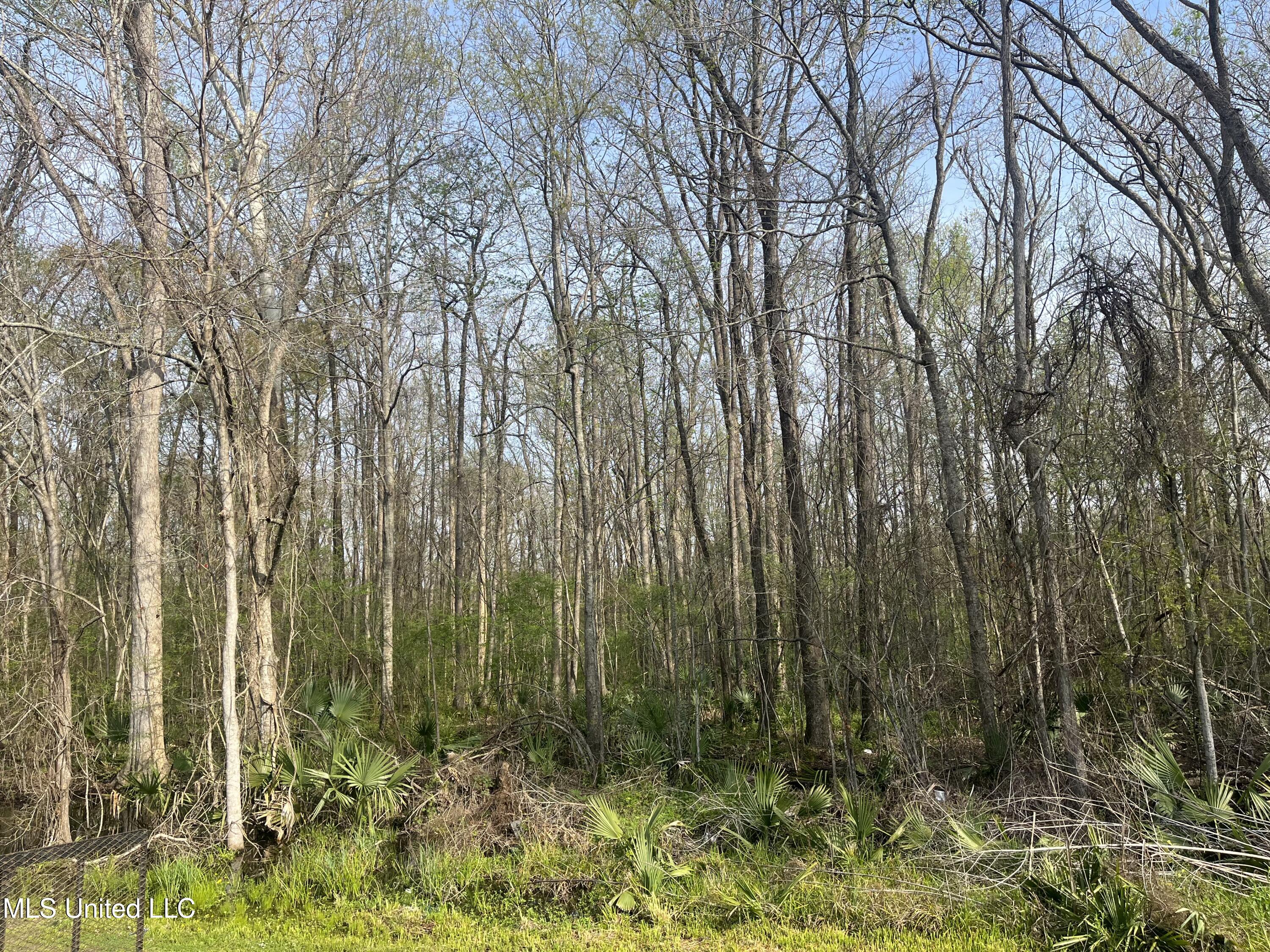 106 Daisy Road Ferriday, LA 71334 - Photo 24 of 32 IMG_1650