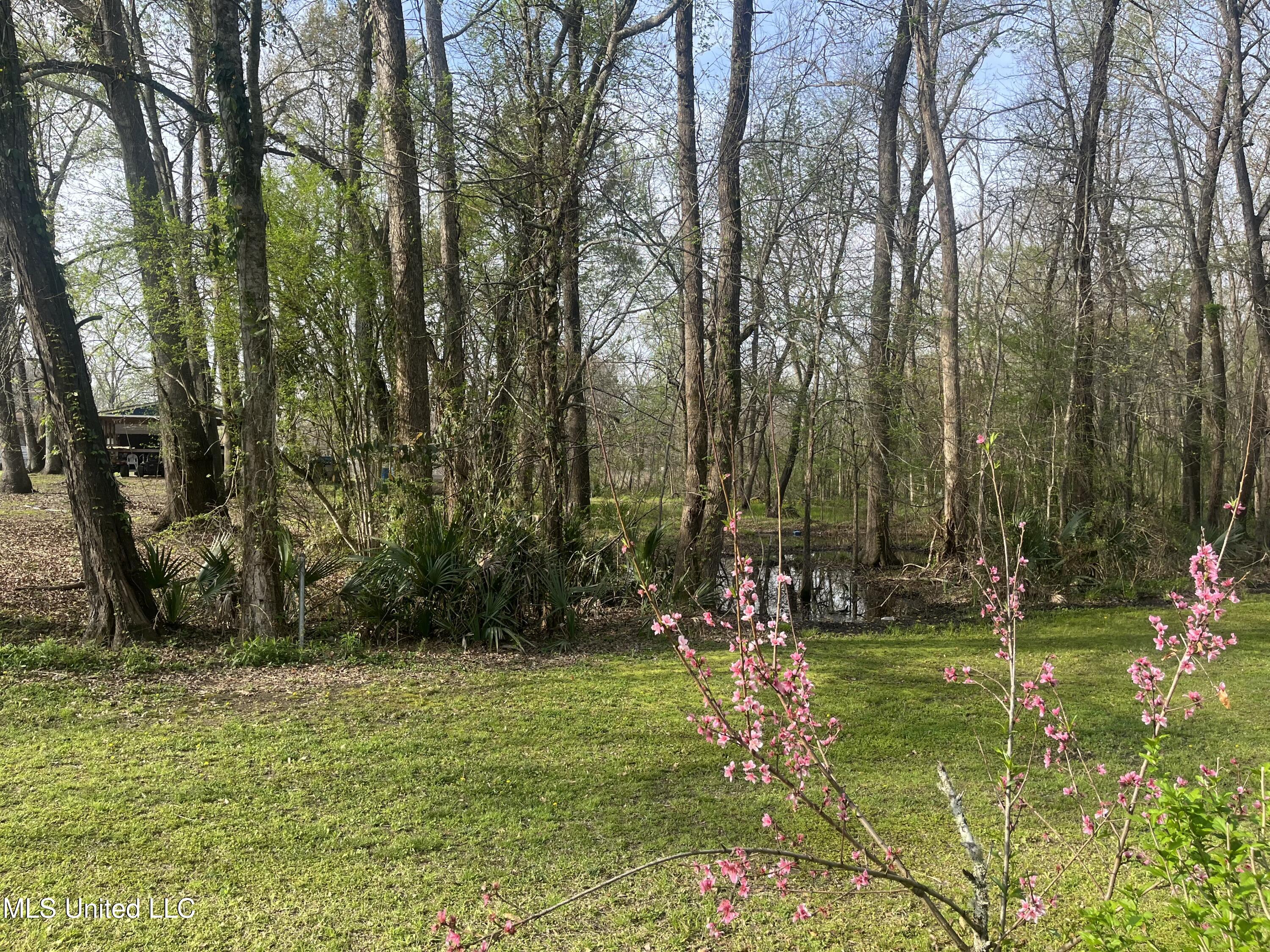 106 Daisy Road Ferriday, LA 71334 - Photo 26 of 32 IMG_1645