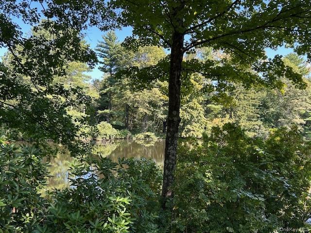 272 Drake Road Pleasant Valley, NY 12569 - Photo 11 of 43 a view of forest