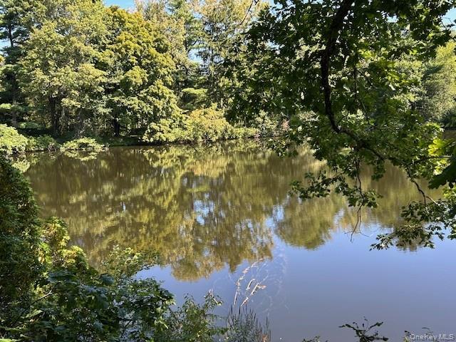 272 Drake Road Pleasant Valley, NY 12569 - Photo 12 of 43 a view of lake