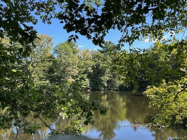 272 Drake Road Pleasant Valley, NY 12569 - Photo 13 of 43 a view of lake