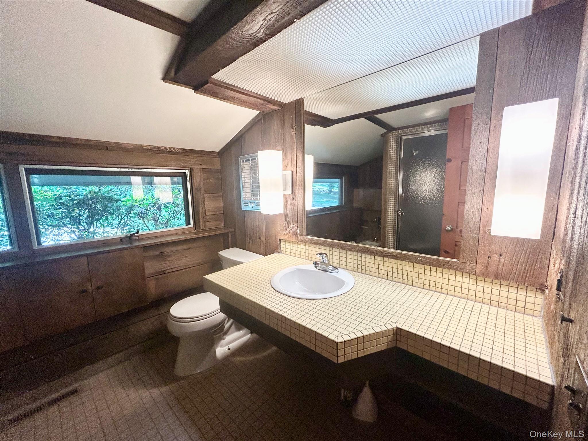 272 Drake Road Pleasant Valley, NY 12569 - Photo 24 of 43 a bathroom with a sink a toilet a mirror and window