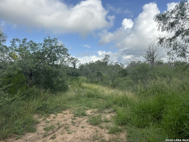 Tbd Leal Road Pleasanton, TX 78064 - Photo 11 of 14