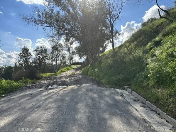 a view of a yard with plants and trees