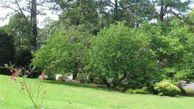 2007 Beaver Lake Road Anderson, SC 29625 - Photo 17 of 18 Gallery Image 17