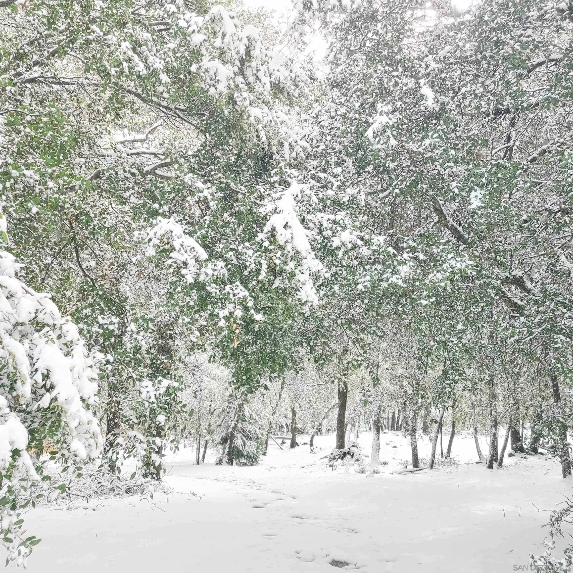 4470 Pine Ridge Avenue Julian, CA 92036 - Photo 26 of 36