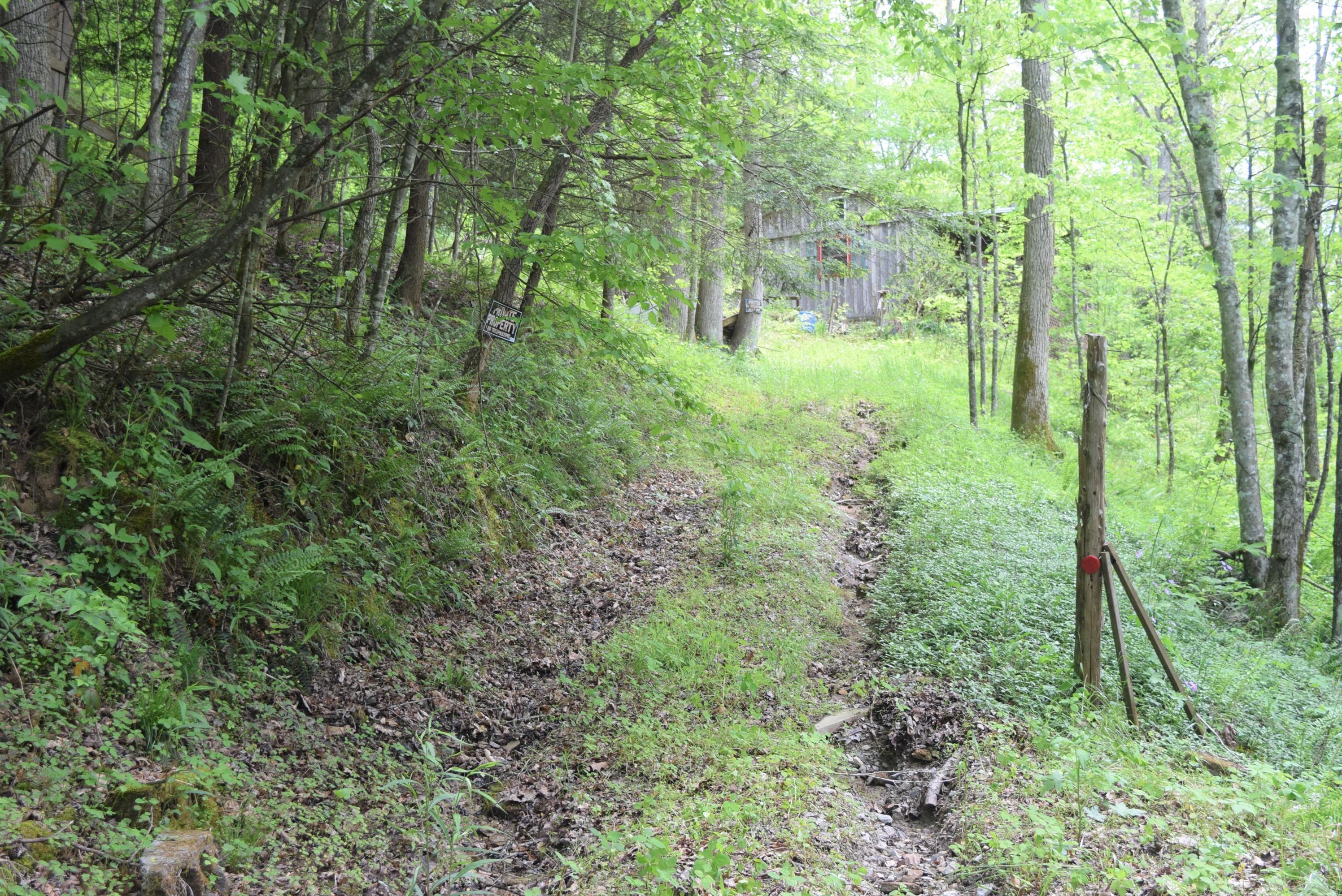 99999 Raccoon Creek Road McKee, KY 40447 - Photo 1 of 11 DSC_0734