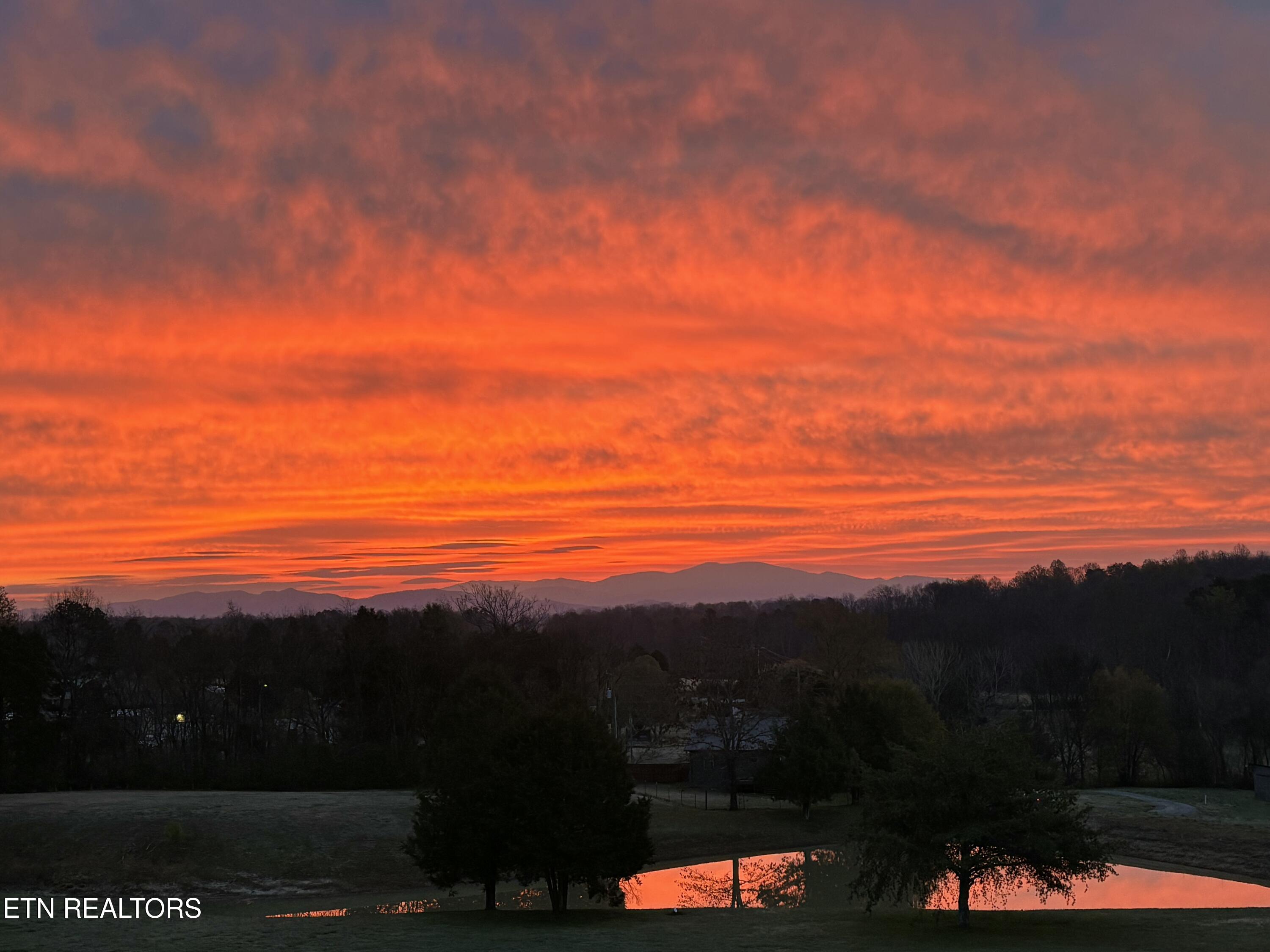 478 Mason Road Madisonville, TN 37354 - Photo 60 of 60 IMG_7561