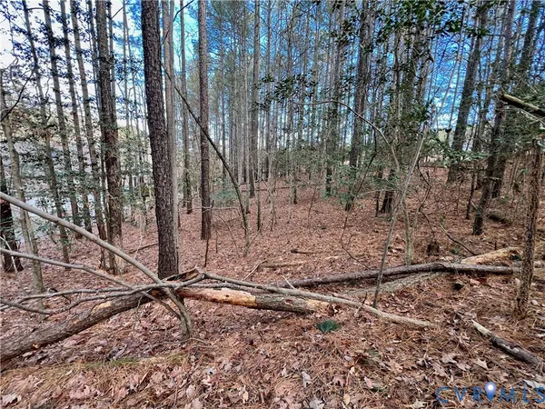 a view of a yard with trees