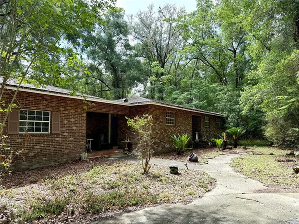a backyard of a house with plants and trees