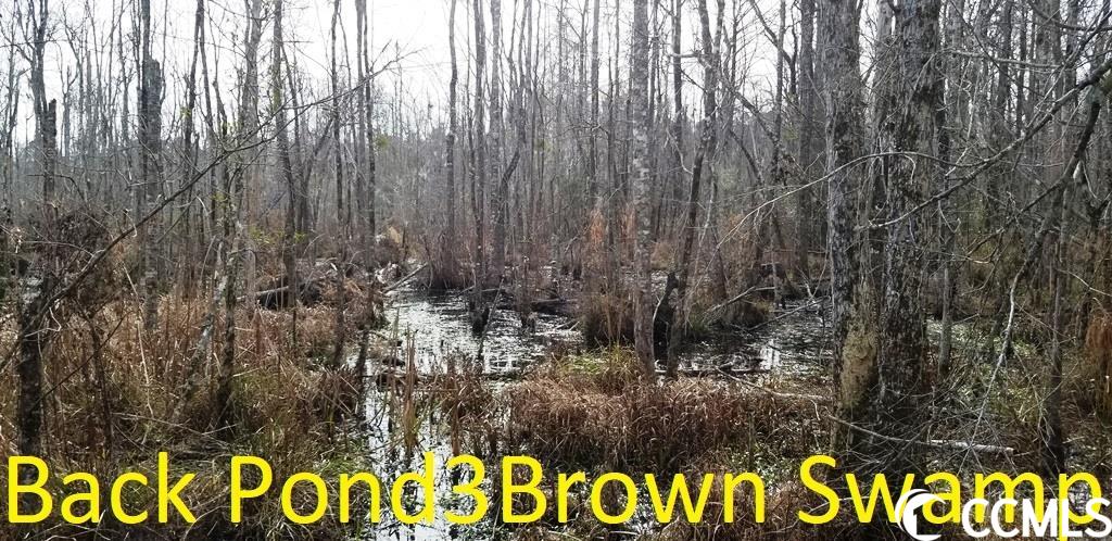 Busy Corner Road Conway, SC 29527 - Photo 16 of 19 Gallery Image 16