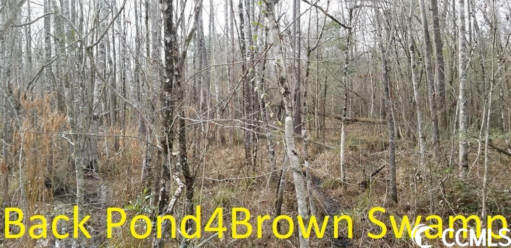 Busy Corner Road Conway, SC 29527 - Photo 17 of 19 Gallery Image 17