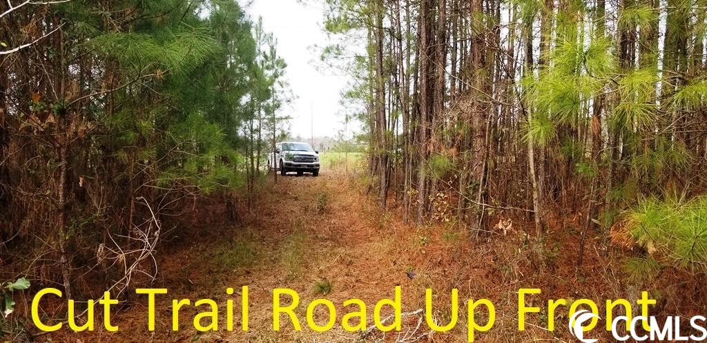 Busy Corner Road Conway, SC 29527 - Photo 19 of 19 Gallery Image 19