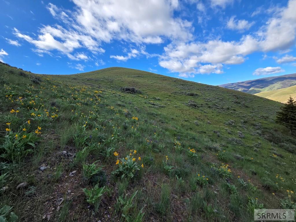 Nkn East Tower Creek Road Carmen, ID 83462 - Photo 30 of 63