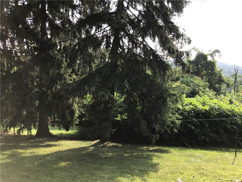 3500 Mt Troy Road Pittsburgh, PA 15212 - Photo 14 of 18 REAR YARD