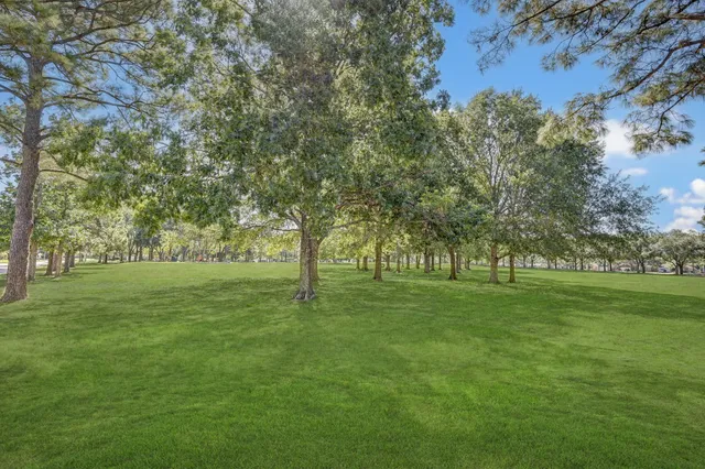 a huge green field with lots of trees