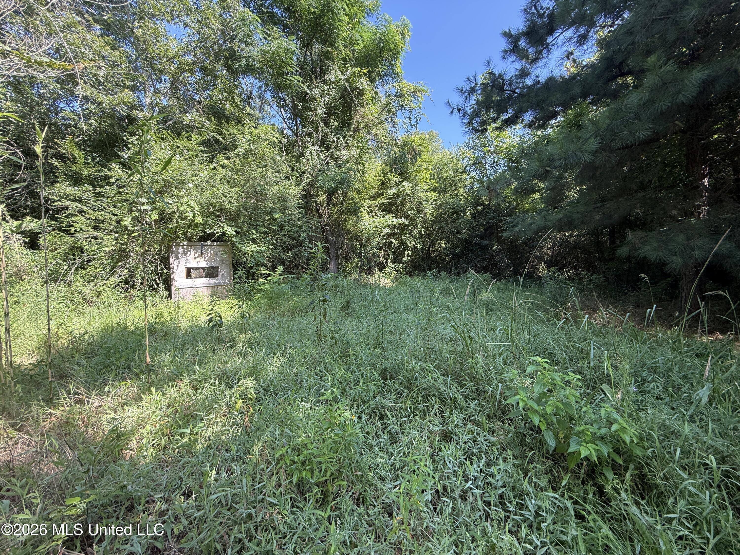 Winfry Road Kilmichael, MS 39747 - Photo 2 of 22 IMG_6279