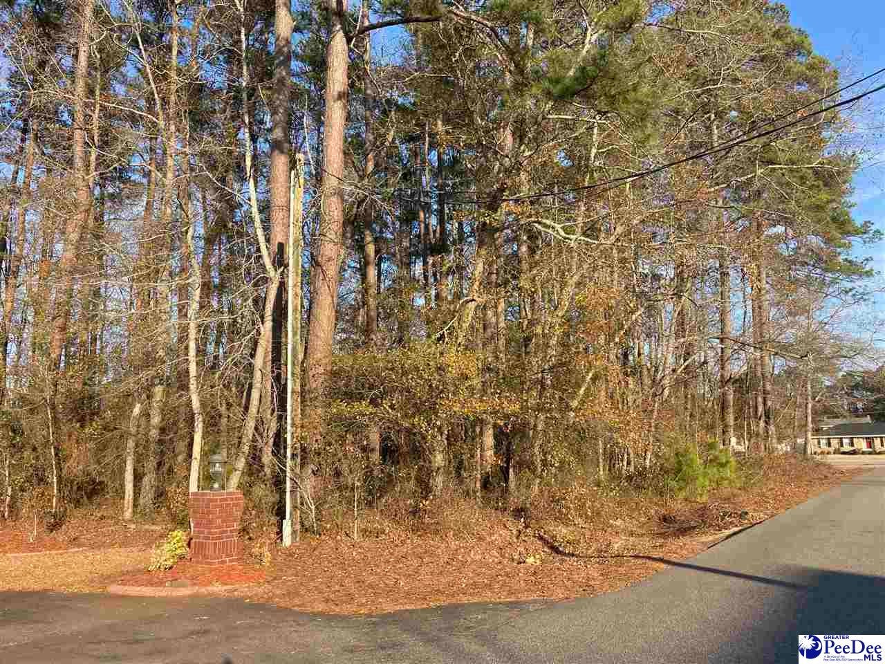 Virginia Lane Dillon, SC 29536 - Photo 1 of 1 Gallery Image 1