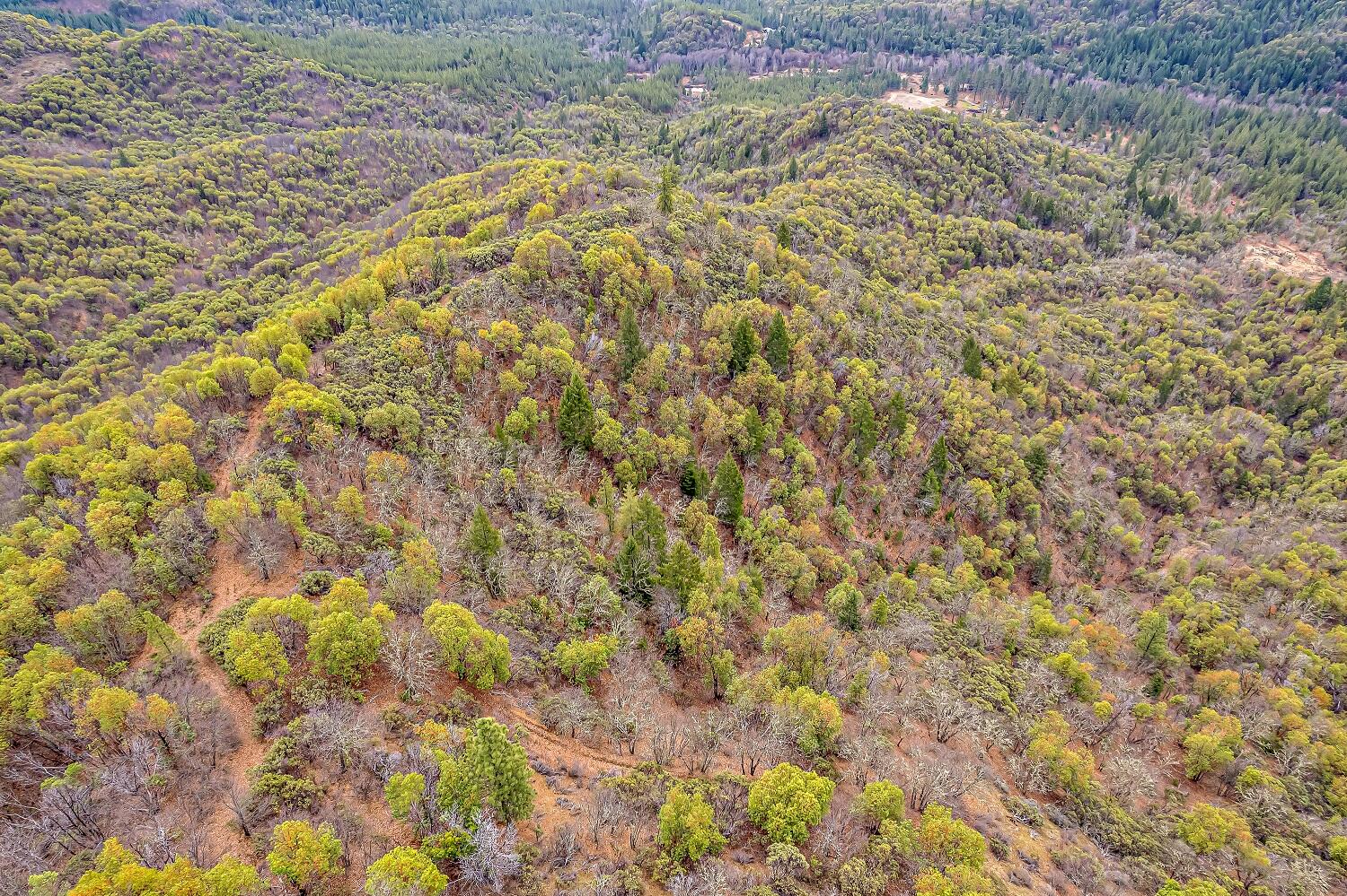 0 Sykes Creek Road Rogue River, OR 97537 - Photo 10 of 15