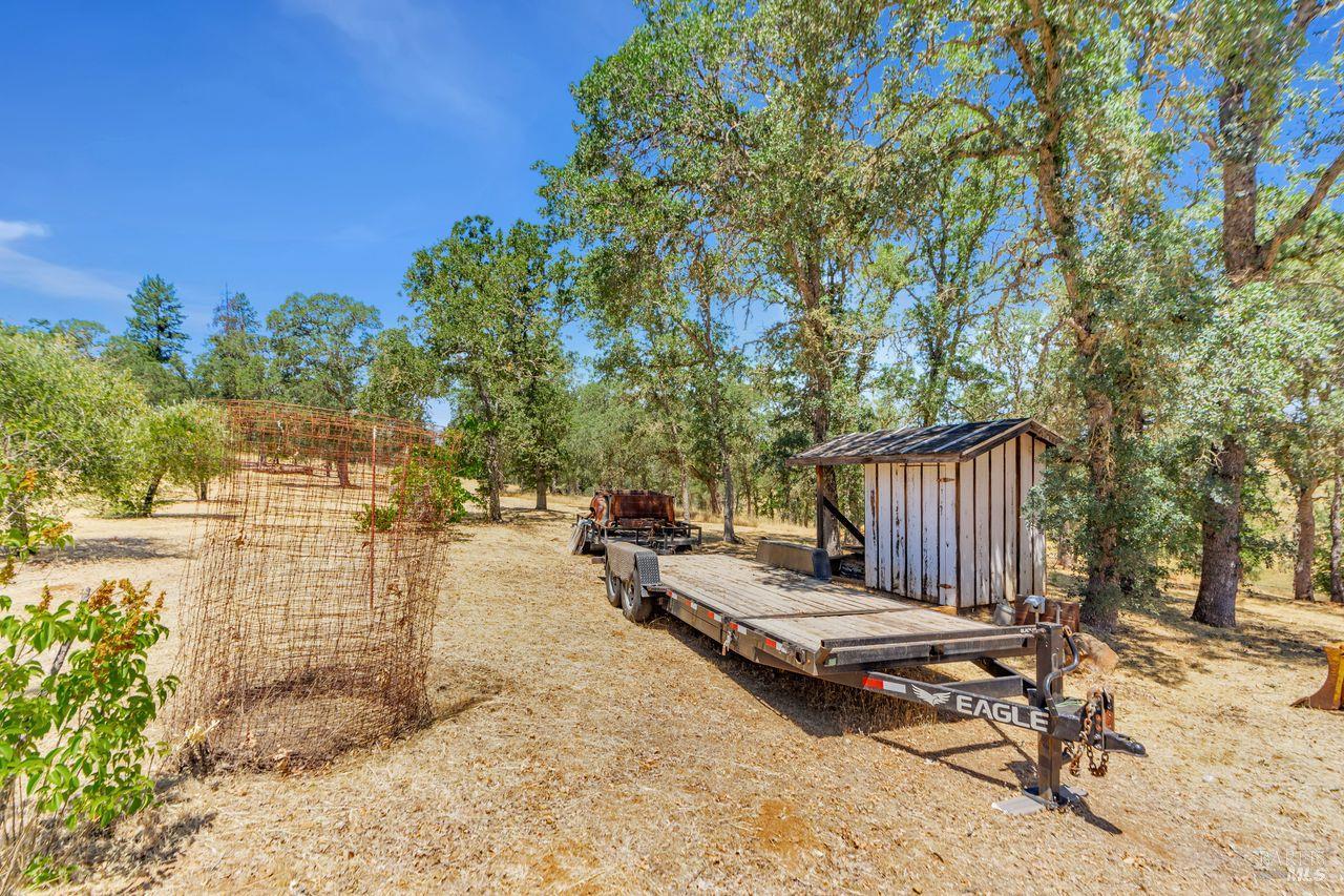 17277 Butts Canyon Road Middletown, CA 95461 - Photo 22 of 41 a view of a backyard with plants and trees
