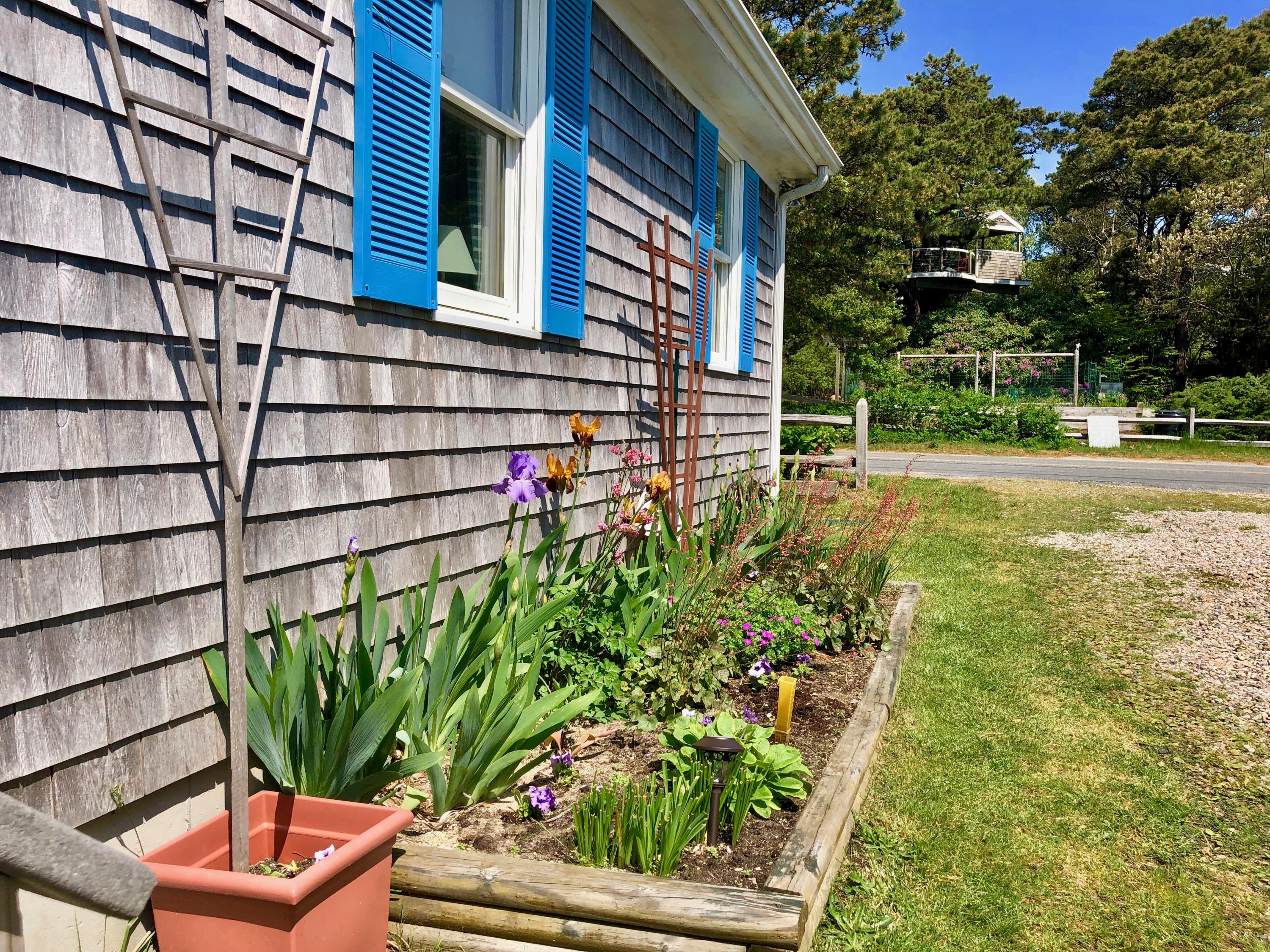 1405 Samoset Road Eastham, MA 02642 - Photo 8 of 23 IMG_2317