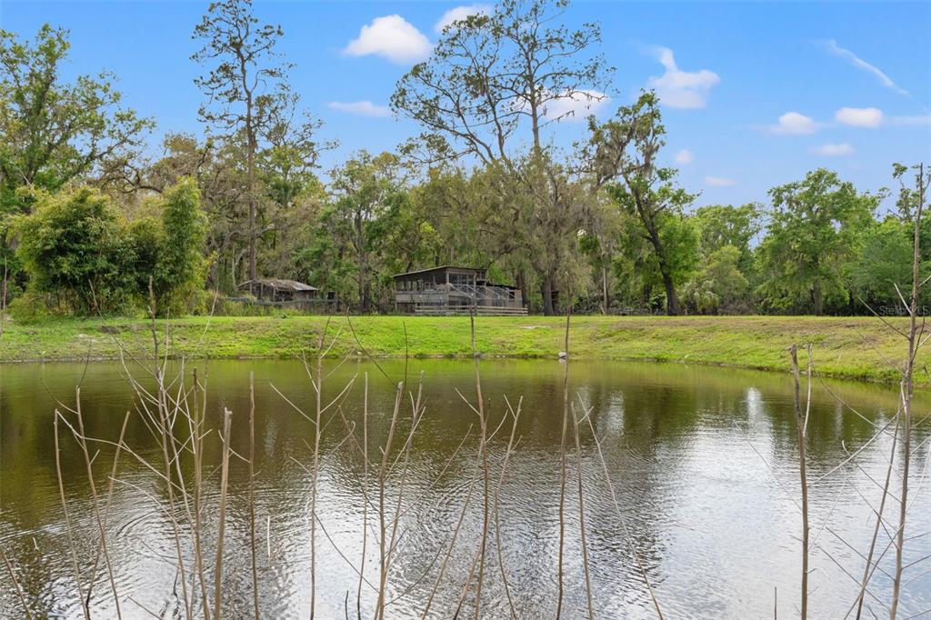 4508 Spring Road Valrico, FL 33596 - Photo 43 of 53