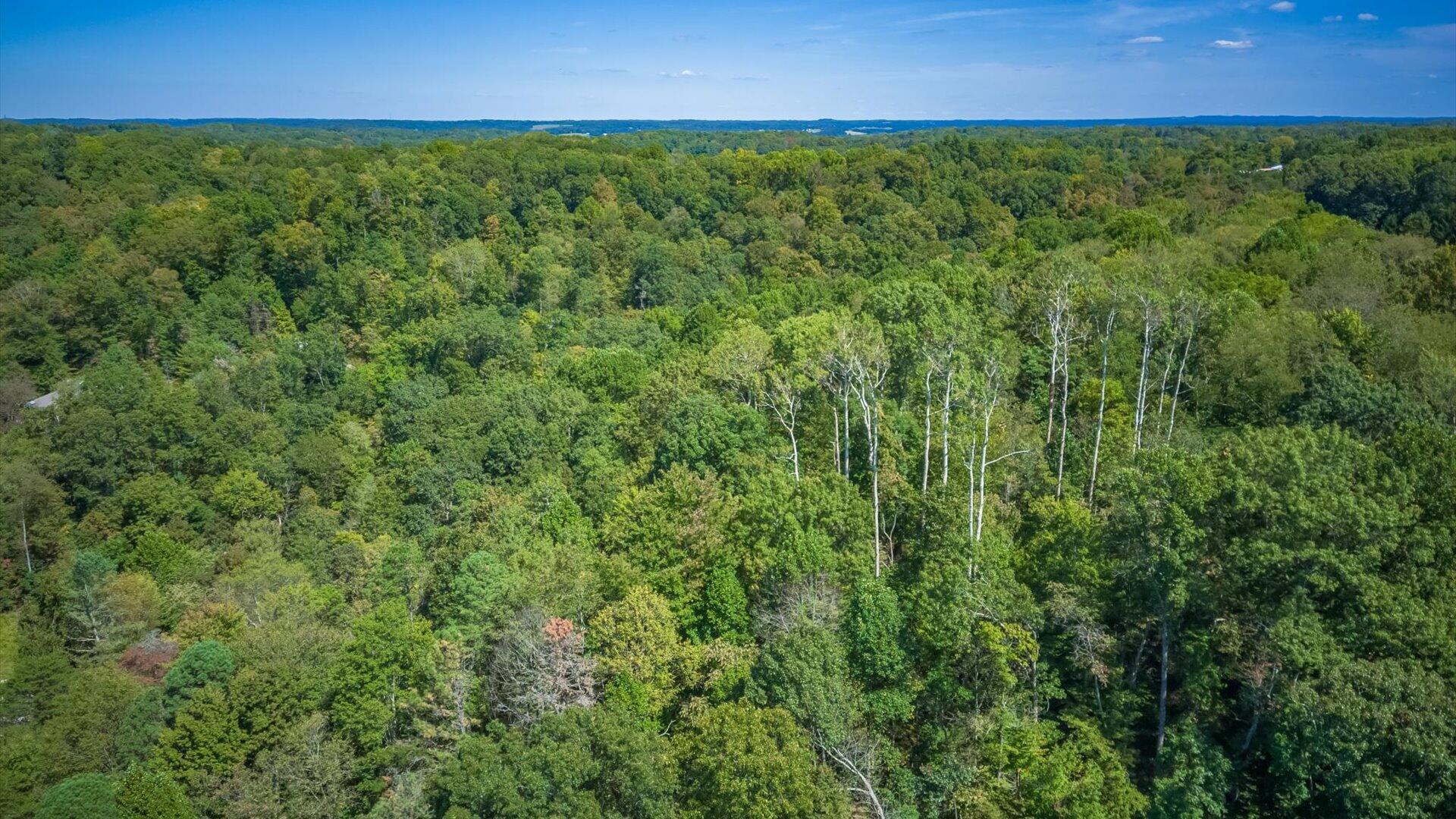 0 Paradise Road Southeast Sugar Grove, OH 43155 - Photo 19 of 19 20-zj Paradise Rd.019-2