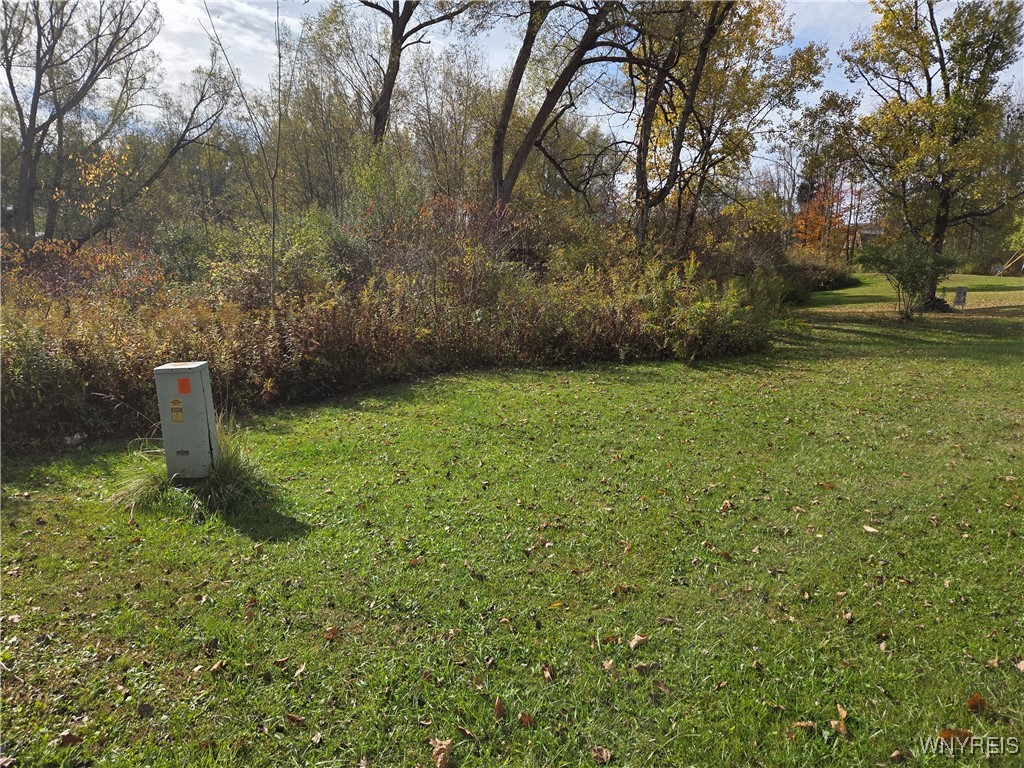 Sodum Road Little Valley, NY 14755 - Photo 4 of 7