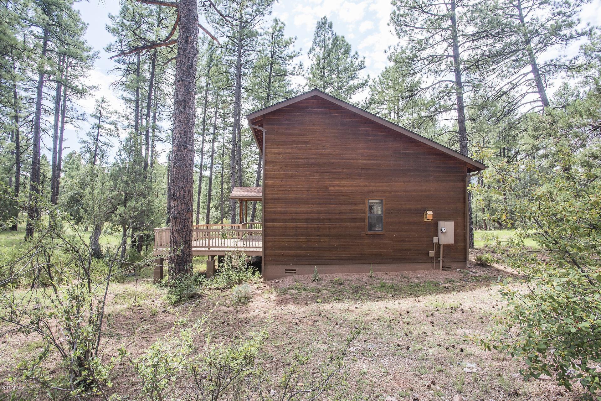 3697 Whispering Pines Road Pine, AZ 85544 - Photo 9 of 36 IMG_9
