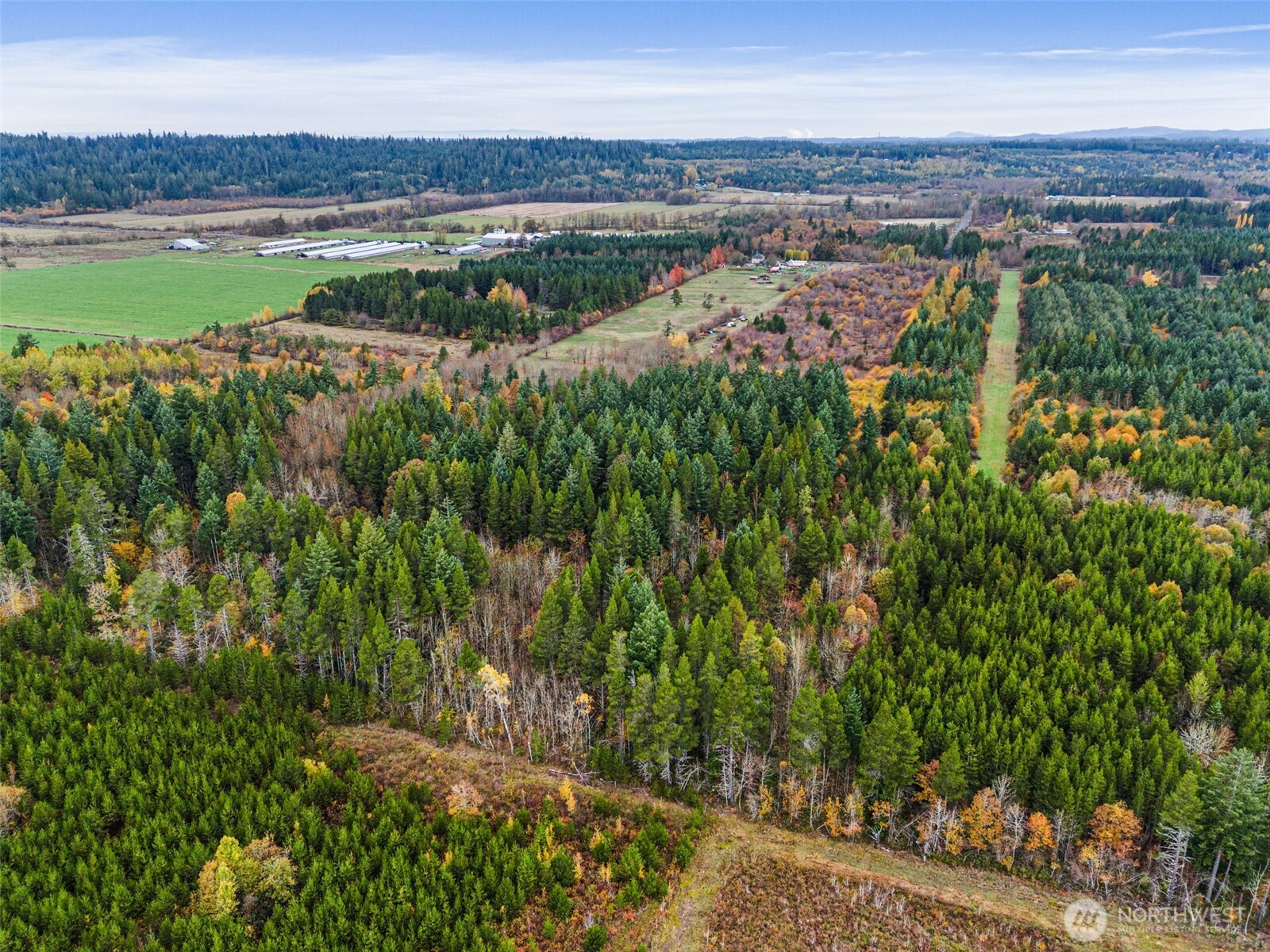 X Oyler Road Toledo, WA 98591 - Photo 16 of 24