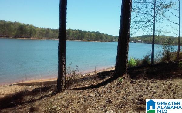 240 County Road, Unit 4 Wedowee, AL 36278 - Photo 4 of 10
