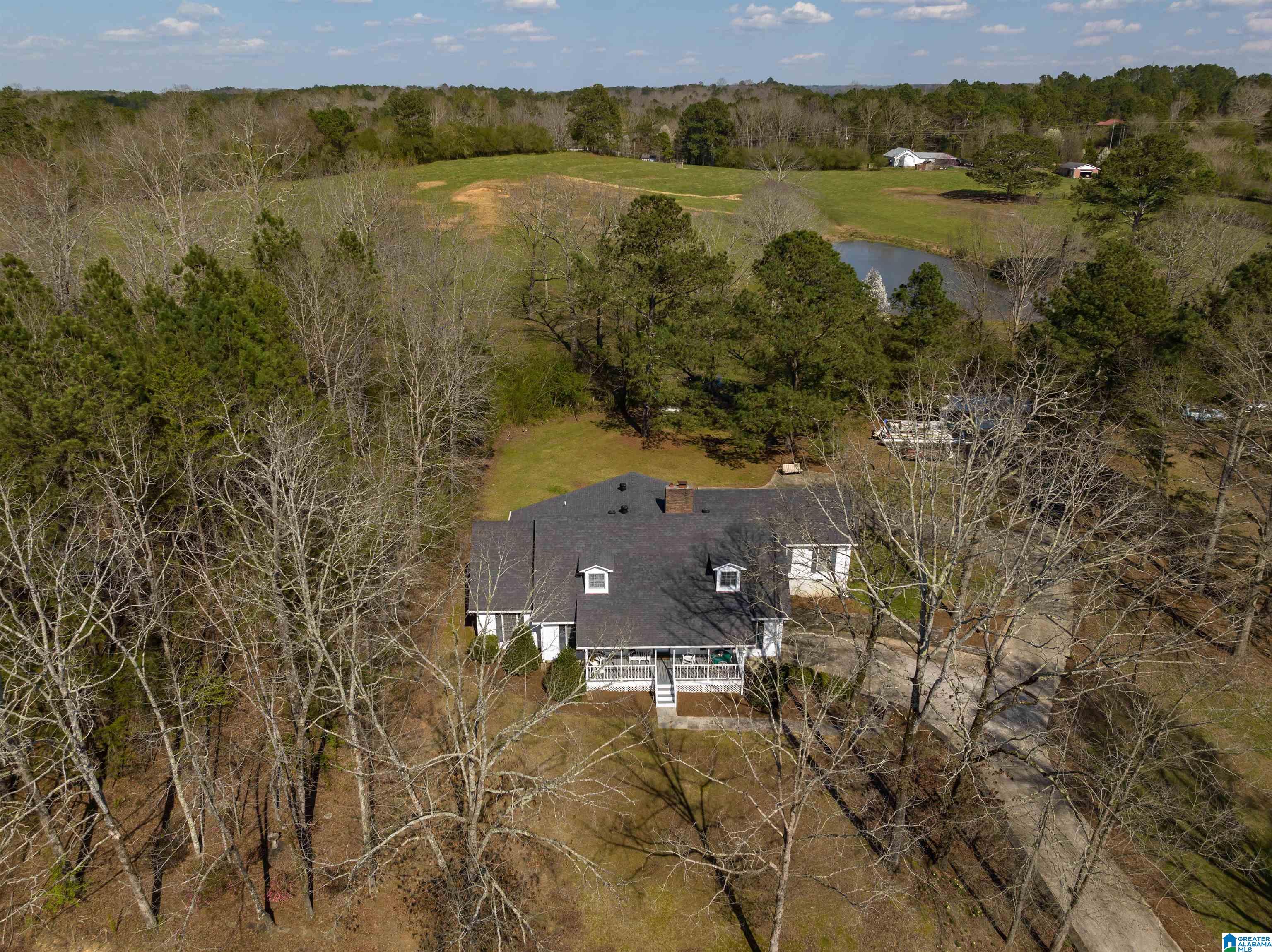 401 Lakeshore Lane Oneonta, AL 35121 - Photo 3 of 24